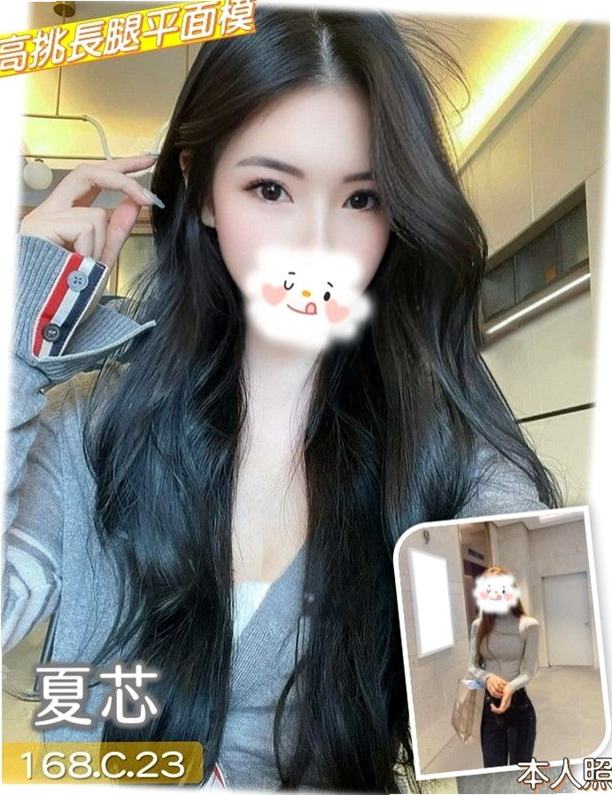 台中外約茶 vs 其他方案，哪個更適合你？